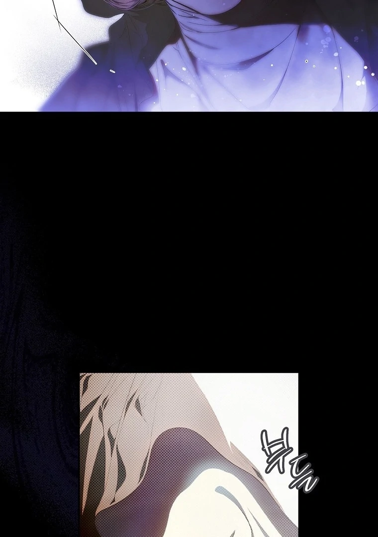 Secret Lady Chapter 117 45